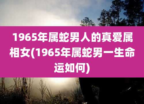1965年属蛇男人的真爱属相女(1965年属蛇男一生命运如何)
