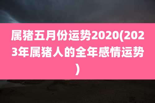 属猪五月份运势2020(2023年属猪人的全年感情运势)