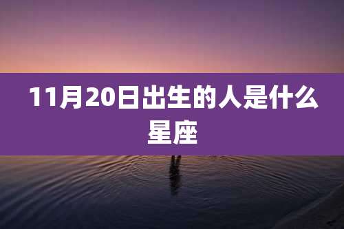 11月20日出生的人是什么星座