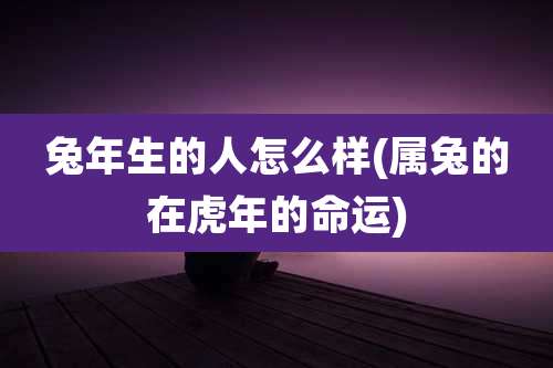 兔年生的人怎么样(属兔的在虎年的命运)