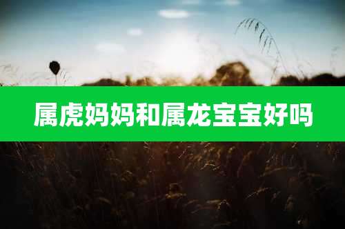 属虎妈妈和属龙宝宝好吗