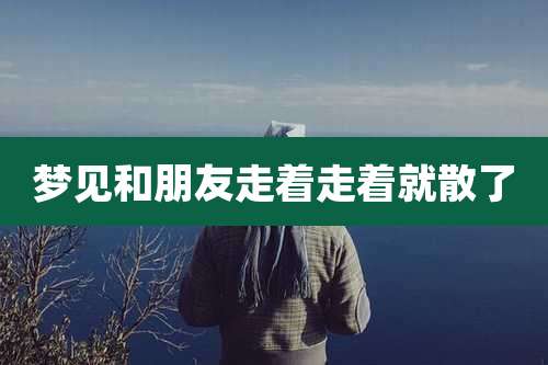 梦见和朋友走着走着就散了