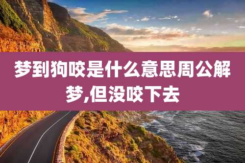 梦到狗咬是什么意思周公解梦,但没咬下去