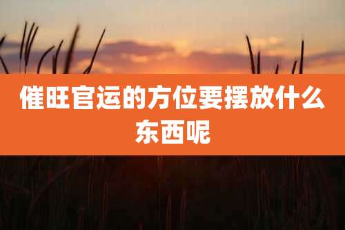 催旺官运的方位要摆放什么东西呢