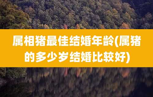 属相猪最佳结婚年龄(属猪的多少岁结婚比较好)