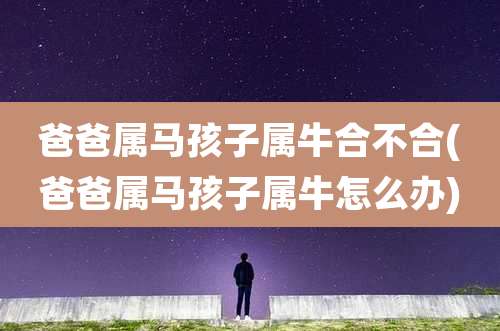 爸爸属马孩子属牛合不合(爸爸属马孩子属牛怎么办)