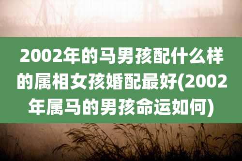 2002年的马男孩配什么样的属相女孩婚配最好(2002年属马的男孩命运如何)