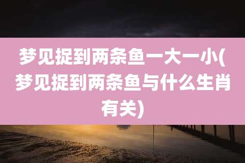 梦见捉到两条鱼一大一小(梦见捉到两条鱼与什么生肖有关)