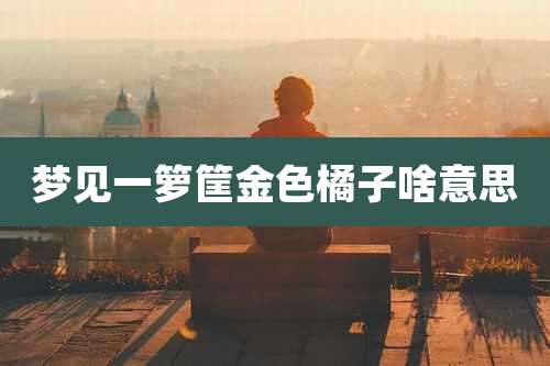 梦见一箩筐金色橘子啥意思