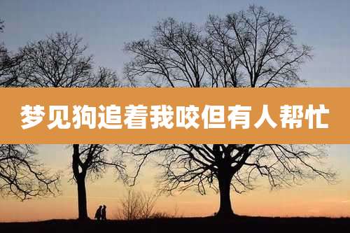 梦见狗追着我咬但有人帮忙