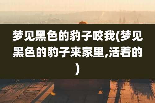 梦见黑色的豹子咬我(梦见黑色的豹子来家里,活着的)