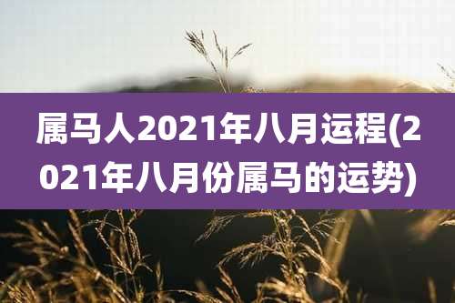 属马人2021年八月运程(2021年八月份属马的运势)