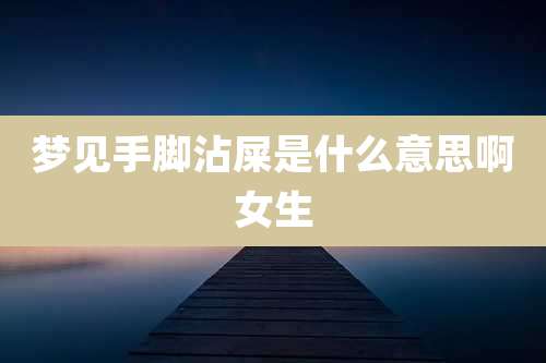 梦见手脚沾屎是什么意思啊女生