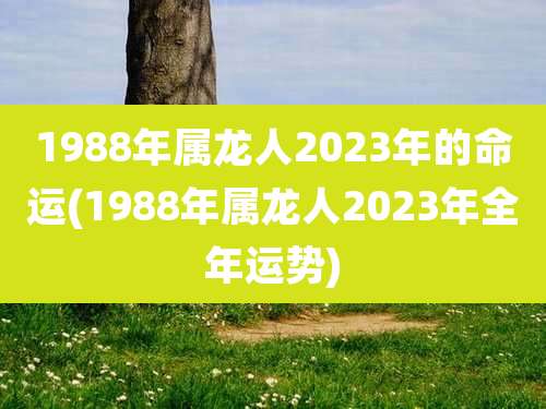 1988年属龙人2023年的命运(1988年属龙人2023年全年运势)