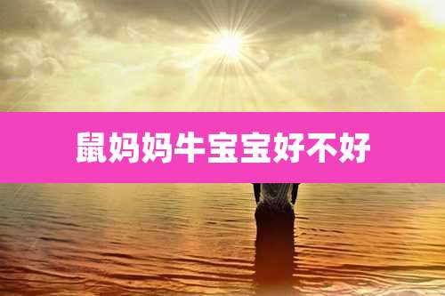 鼠妈妈牛宝宝好不好