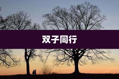 双子同行