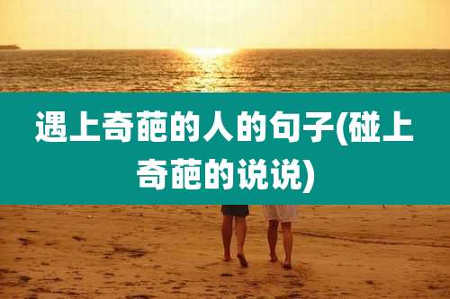 遇上奇葩的人的句子(碰上奇葩的说说)