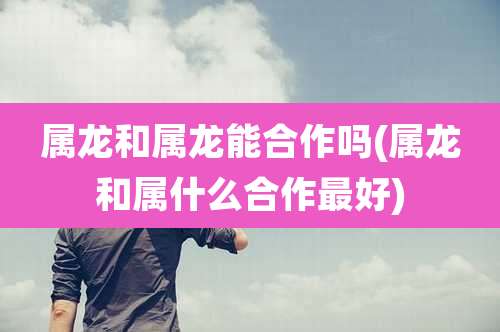 属龙和属龙能合作吗(属龙和属什么合作最好)