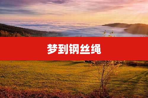 梦到钢丝绳