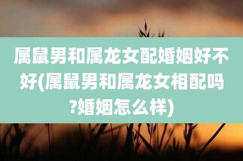 属鼠男和属龙女配婚姻好不好(属鼠男和属龙女相配吗?婚姻怎么样)