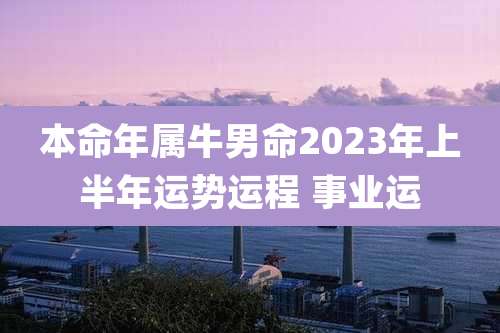 本命年属牛男命2023年上半年运势运程 事业运