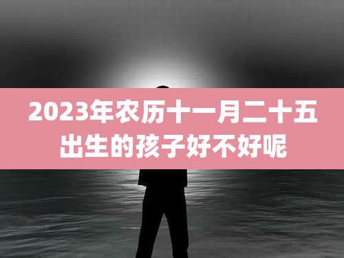2023年农历十一月二十五出生的孩子好不好呢