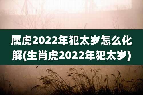 属虎2022年犯太岁怎么化解(生肖虎2022年犯太岁)