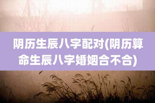 阴历生辰八字配对(阴历算命生辰八字婚姻合不合)