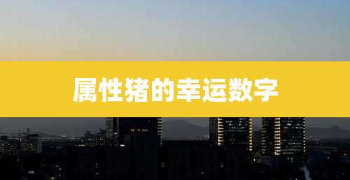 属性猪的幸运数字