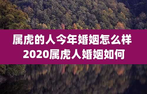 属虎的人今年婚姻怎么样 2020属虎人婚姻如何