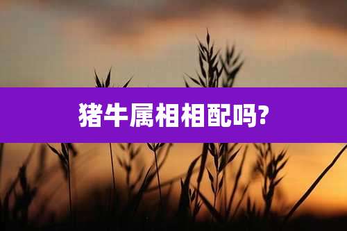 猪牛属相相配吗?