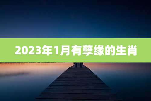 2023年1月有孽缘的生肖