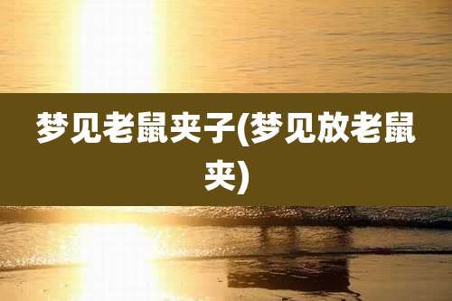 梦见老鼠夹子(梦见放老鼠夹)