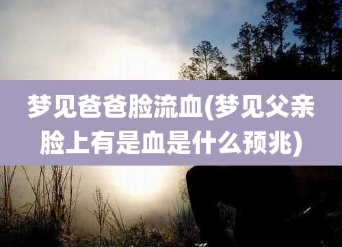 梦见爸爸脸流血(梦见父亲脸上有是血是什么预兆)