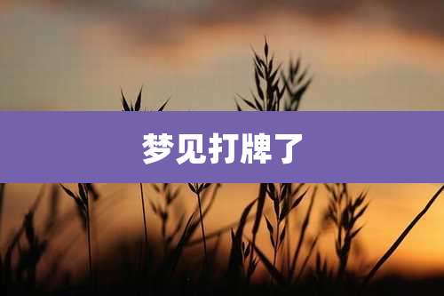 梦见打牌了