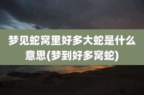 梦见蛇窝里好多大蛇是什么意思(梦到好多窝蛇)