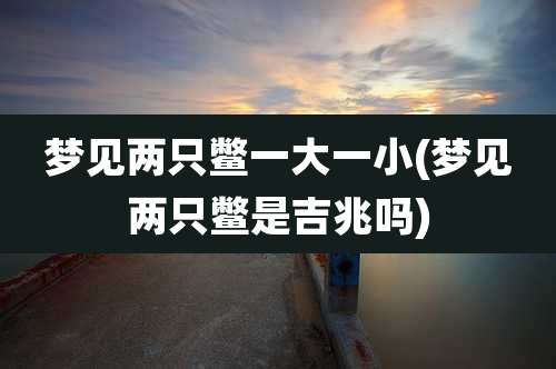 梦见两只鳖一大一小(梦见两只鳖是吉兆吗)