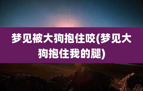 梦见被大狗抱住咬(梦见大狗抱住我的腿)