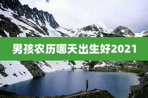 男孩农历哪天出生好2021