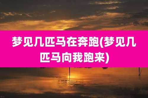 梦见几匹马在奔跑(梦见几匹马向我跑来)