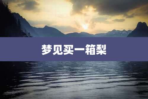 梦见买一箱梨
