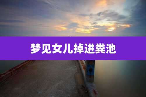 梦见女儿掉进粪池