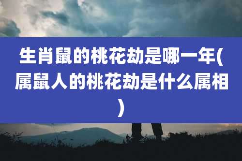 生肖鼠的桃花劫是哪一年(属鼠人的桃花劫是什么属相)