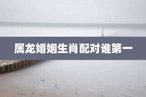 属龙婚姻生肖配对谁第一