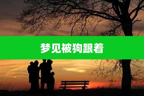 梦见被狗跟着