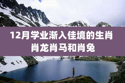 12月学业渐入佳境的生肖 肖龙肖马和肖兔