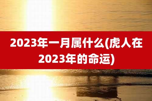 2023年一月属什么(虎人在2023年的命运)