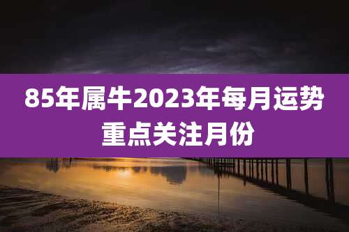 85年属牛2023年每月运势 重点关注月份