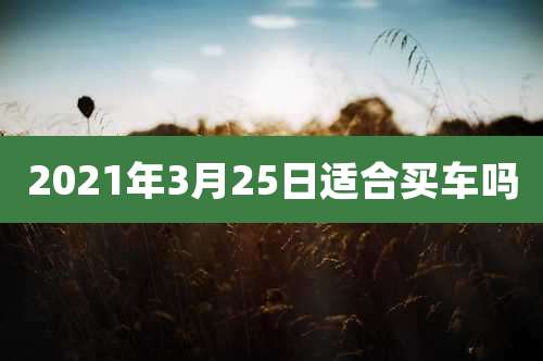 2021年3月25日适合买车吗