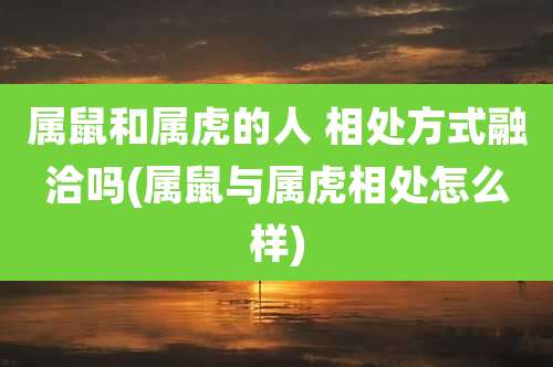 属鼠和属虎的人 相处方式融洽吗(属鼠与属虎相处怎么样)